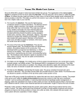 Caste System Reading