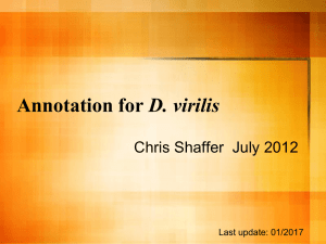 Annotation of Drosophila virilis