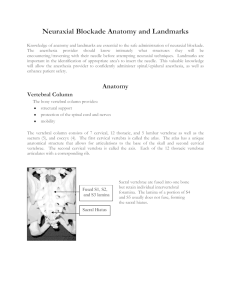 Neuraxial Blockade Anatomy and Landmarks