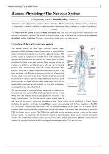 Human Physiology/The Nervous System