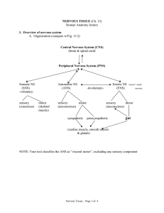 Nervous Tissue (Ch