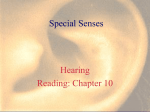 Special Senses