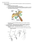 15.2 Evidence of Evolution I. Support for Evolution