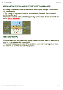 MEMBRANE POTENTIAL AND NERVE IMPULSE TRANSMISSION