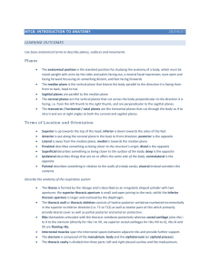 MTC8: Introduction to Anatomy 28/09/07