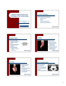 Lumbar spine Home Study - continuing