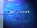 Human Development