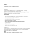 EXAMPLE MARKETING / SALES / ADVERTISING INTERN