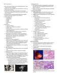 SDL 9 Lung Cancer One of the most common cancers affecting