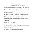 Mesopotamia Pretest