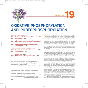 OXIDATIVE PHOSPHORYLATION AND PHOTOPHOSPHORYLATION