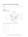 Chapter 6: General Anatomy and Physiology