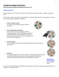 Understanding Evolution Reading Assignment