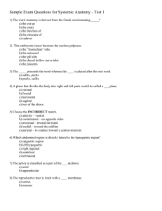 Sample Exam Questions for Systemic Anatomy