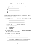 Cell Structure and Function Chapter 7