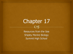 Chapter One