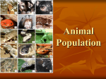 Animal Populations