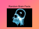 Brain Facts