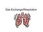 Gas Exchange - Ardsley Schools