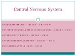 CNS Analgesic Agents