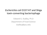 Escherichia coli - Sites at Penn State