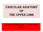 16-VASCULATURE OF UL2016-12