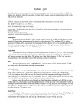 Carbon Cycle - EarthRef.org