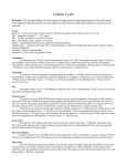 Carbon Cycle - EarthRef.org