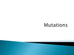 Mutations