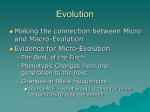 Evolution