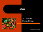 red blood cells