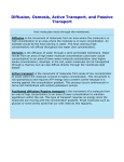 Diffusion, Facilitated Diffusion, Osmosis, and Active Transport