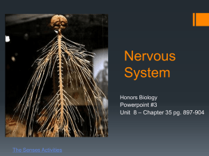 Nervous System Part 1