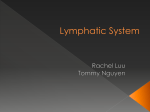 Lymphatic System