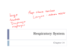 Respiratory System