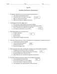 Quiz 1 Neolithic to Mesopotamia