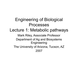 Metabolic pathways