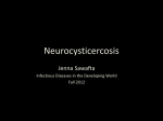 Neurocysticercosis