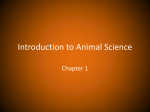 Animal Science