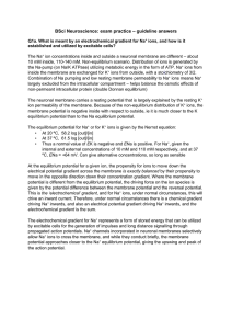 Model answers for the exam practice questions File