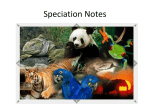 Speciation Notes