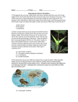 Name: Period: ______ Date: Reproductive Barrier Worksheet 1