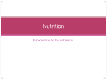 Nutrition - Peda.net