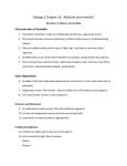 Characteristics of Annelids