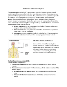 Nervous and Endocrine Systems