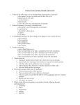 Sponges to Ecdysozoans Practice Exam