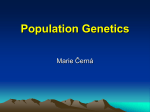 Population Genetics