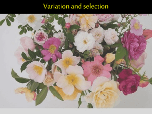 Variation and selection