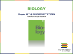 Chapter 39: The Respiratory System