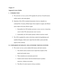 ch15 autonomic nervous system